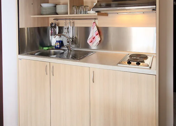 公寓 纳亚斯公寓 *